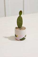 Mojave Textured Ceramic Pots By Accent Decor