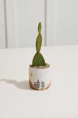 Mojave Textured Ceramic Pots By Accent Decor
