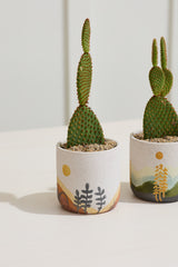 Mojave Textured Ceramic Pots By Accent Decor