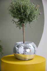 Disco Ceramic Pots By Accent Decor