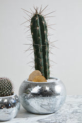 Disco Ceramic Pots By Accent Decor