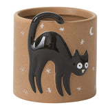 Witching Hour Ceramic Decorative Vessels By Accent Decor