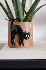 Witching Hour Ceramic Decorative Vessels By Accent Decor