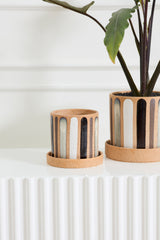 Truman with Saucer Pots By Accent Decor