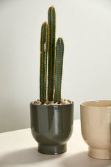 Fischer Glossy Footed Pots By Accent Decor