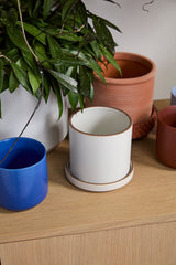Author with Saucer Matte Ceramic Pots By Accent Decor