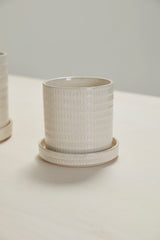 Morse with Saucer Textured Glossy Pots By Accent Decor