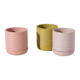 Manitoba with Saucer Pots (Set of 3) By Accent Decor