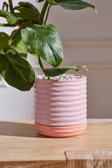 Manitoba with Saucer Pots (Set of 3) By Accent Decor