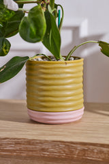 Manitoba with Saucer Pots (Set of 3) By Accent Decor