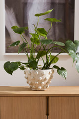 Hanover Pots By Accent Decor
