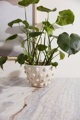 Hanover Pots By Accent Decor