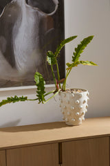 Hanover Pots By Accent Decor