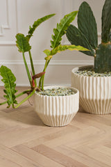 Cameron Pots By Accent Decor