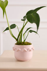 Cambree Pot By Accent Decor