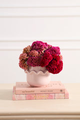 Cambree Pot By Accent Decor