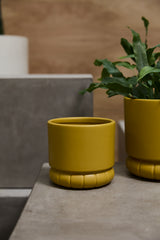 Fara Matte Carved Pots By Accent Decor