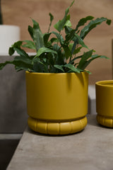Fara Matte Carved Pots By Accent Decor