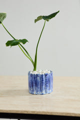 Amalfi Pot By Accent Decor