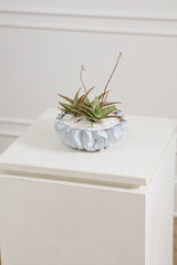 Sono Reactive Glaze Wavy Decorative Vessels By Accent Decor