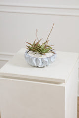 Sono Reactive Glaze Wavy Decorative Vessels By Accent Decor