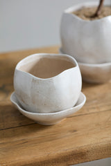 Iona Pots By Accent Decor