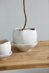 Iona Pots By Accent Decor