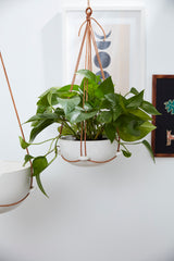 Redondo Hanging Reactive Glaze Ceramic Pot By Accent Decor