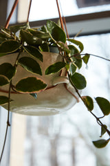 Redondo Hanging Reactive Glaze Ceramic Pot By Accent Decor