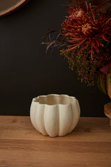 Spiced Pumpkin Ceramic Pots By Accent Decor