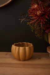 Spiced Pumpkin Ceramic Pots By Accent Decor
