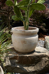 Balos Ceramic Planters By Accent Decor