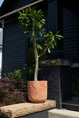 Stratford Textured Ceramic Planter By Accent Decor