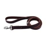 Circle T Latigo Leather Dog Leash, 6'