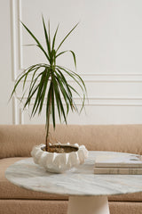 Isandro Bowl By Accent Decor