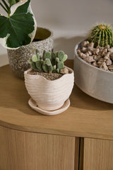 Highland Textured Ceramic Planters With Saucers By Accent Decor - 6" x 5.5" x 5.25" - Image 3