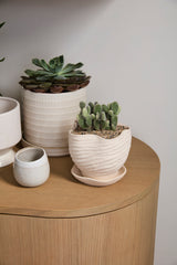 Highland Textured Ceramic Planters With Saucers By Accent Decor - 6" x 5.5" x 5.25" - Image 4