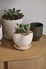 Highland Textured Ceramic Planters With Saucers By Accent Decor - 6" x 5.5" x 5.25" - Image 6