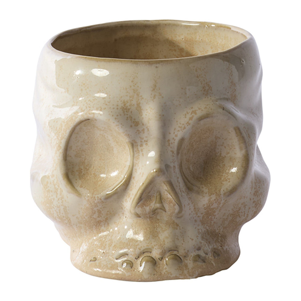 Haunting Skull Pot By Accent Decor