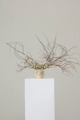Haunting Skull Pot By Accent Decor