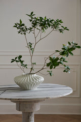 Ilaria Vases By Accent Decor