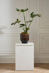 Kasra Pots By Accent Decor