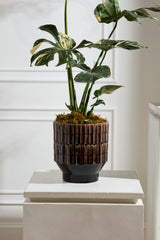 Kasra Pots By Accent Decor