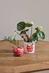 World's Best Teacher Pot By Accent Decor