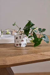 Homebody Club Pot By Accent Decor