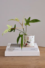 Lucky Icon Pot By Accent Decor