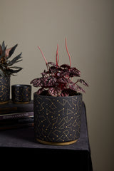 Universe Ceramic Pots By Accent Decor