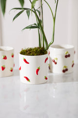 Spicy and Sweet Pots By Accent Decor