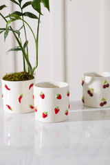 Spicy and Sweet Pots By Accent Decor