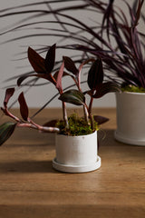 Easton Ceramic Pots By Accent Decor